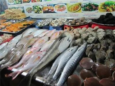 水產(chǎn)魚類市場全景 價格、行情、展會與供應(yīng)鏈解析