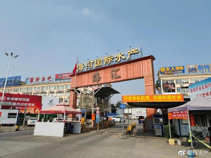 加拿大北極蝦，新鮮直供廣州海河水產(chǎn)批發(fā)市場